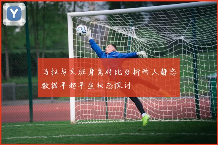 马拉与文班身高对比分析两人静态数据平起平坐状态探讨